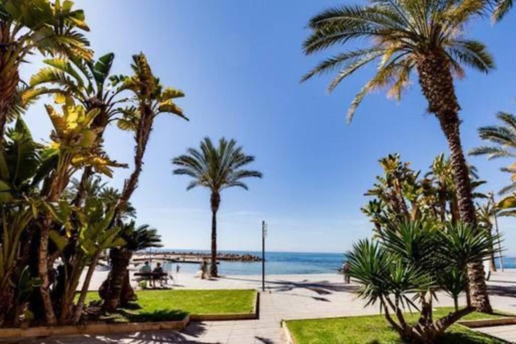 Penthouse Ramon G-Playa Del Cura Lejlighed Torrevieja Eksteriør billede
